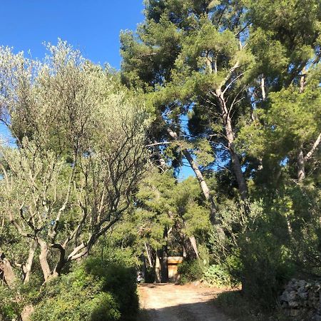 Les Pins Διαμέρισμα Le Castellet  Εξωτερικό φωτογραφία