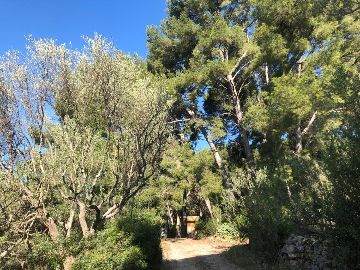 Les Pins Διαμέρισμα Le Castellet  Εξωτερικό φωτογραφία