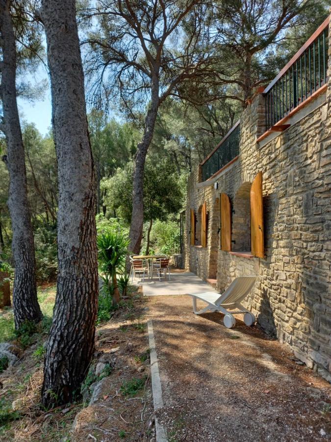 Les Pins Διαμέρισμα Le Castellet  Εξωτερικό φωτογραφία